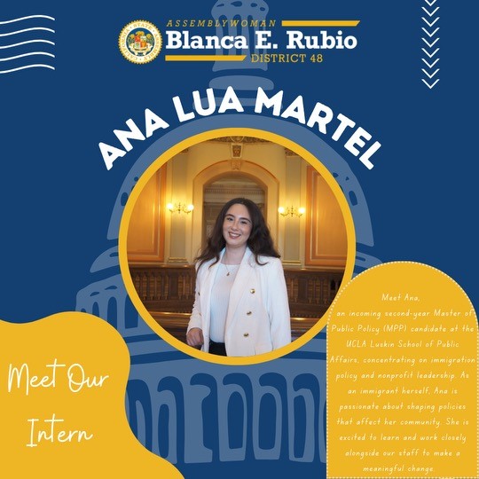 ana intern