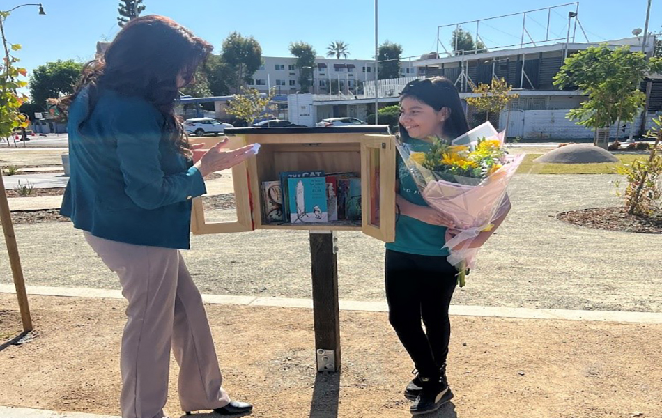 Little Libraries