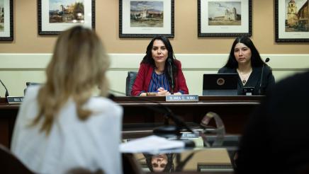 Assemblymember Rubio during Select Committee on Domestic Violence