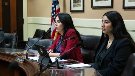 Assemblymember Rubio during Select Committee on Domestic Violence