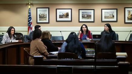 Assemblymember Rubio during Select Committee on Domestic Violence
