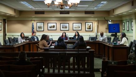 Assemblymember Rubio during Select Committee on Domestic Violence